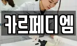 카르페디엠