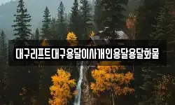 대구리프트대구용달이사개인용달용달화물