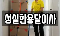 성실한용달이사