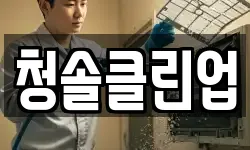 청솔클린업