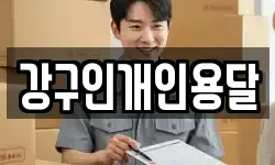 강구인개인용달