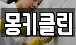 몽키클린