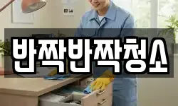 반짝반짝청소