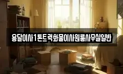용달이사1톤트럭화물이사원룸사무실일반