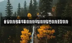 용달이사원룸투룸이사사무실이사일반이사포장이사