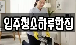 입주청소하루한집