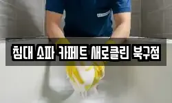 침대 소파 카페트 새로클린 북구점