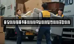 용달이사원룸투룸이사사무실이사일반이사포장이사