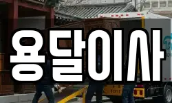 용달이사