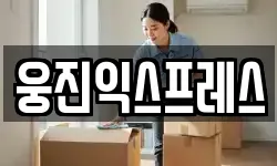 웅진익스프레스