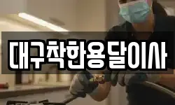 대구착한용달이사