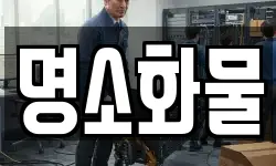 명소화물