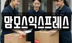 맘모스익스프레스