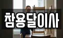 참용달이사