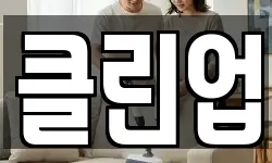 클린업
