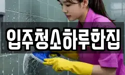 입주청소하루한집