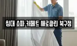 침대 소파 카페트 새로클린 북구점