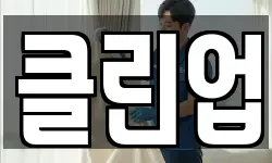 클린업