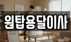 원탑용달이사