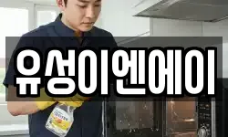 유성이엔에이