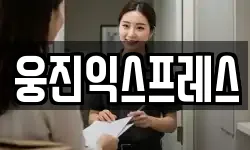웅진익스프레스