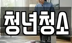 청년청소