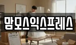 맘모스익스프레스
