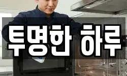 투명한 하루