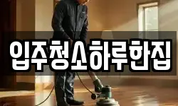 입주청소하루한집
