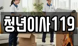 청년이사119