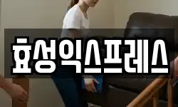 효성익스프레스