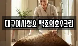 대구이사청소 백조의호수크린