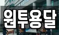 원투용달