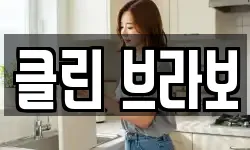 클린 브라보