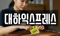 대하익스프레스