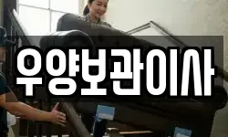 대구 서구 비산동 이사,용달이사,포장이사,원룸이사,보관이사