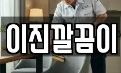 이진깔끔이