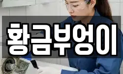 황금부엉이