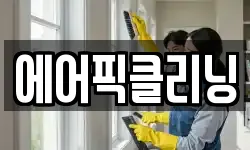 에어픽클리닝