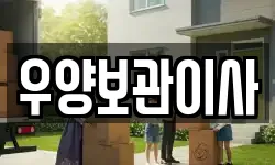 대구 서구 이사,용달이사,포장이사,원룸이사,보관이사