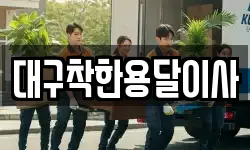 대구착한용달이사