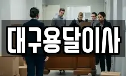 대구용달이사