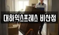 대하익스프레스 비산점