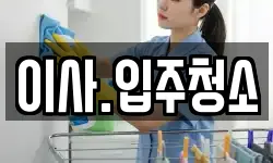 이사.입주청소