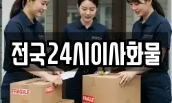 전국24시이사화물