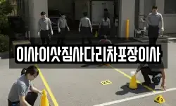 이사이삿짐사다리차포장이사