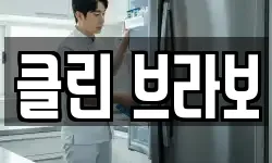 클린 브라보