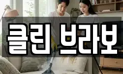 클린 브라보