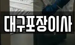 대구포장이사