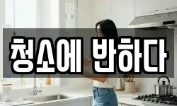청소에 반하다